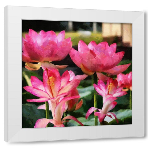 Pink Water Lillies White Modern Wood Framed Art Print by Medeiros, Celito