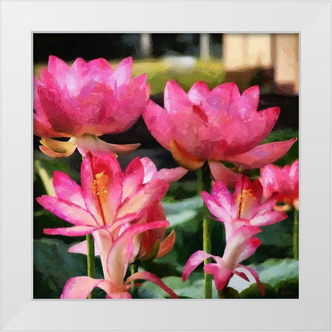 Pink Water Lillies White Modern Wood Framed Art Print by Medeiros, Celito