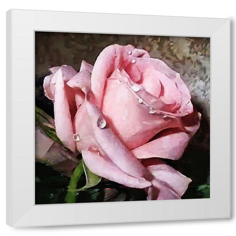 The Pink Rose White Modern Wood Framed Art Print by Medeiros, Celito