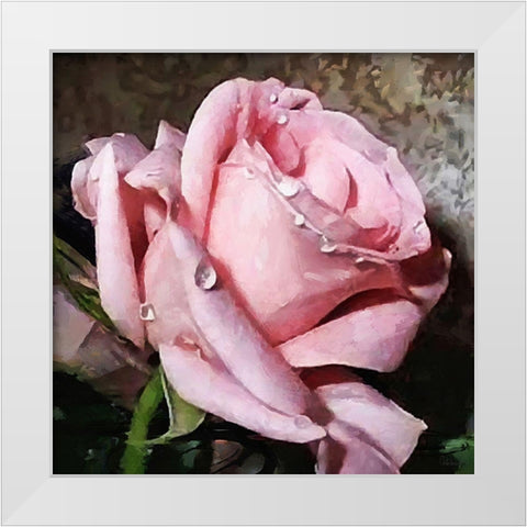 The Pink Rose White Modern Wood Framed Art Print by Medeiros, Celito
