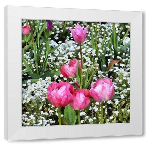 Pink Tulips in Garden White Modern Wood Framed Art Print by Medeiros, Celito