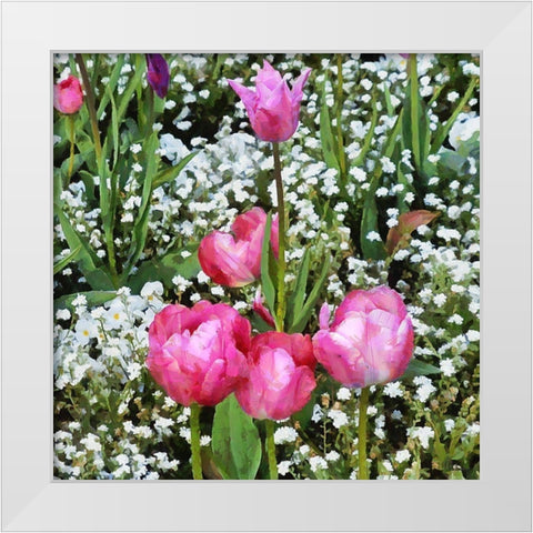 Pink Tulips in Garden White Modern Wood Framed Art Print by Medeiros, Celito
