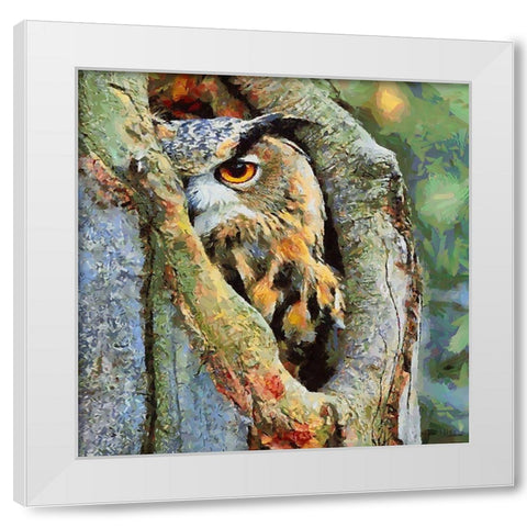 Owl in the Tree White Modern Wood Framed Art Print by Medeiros, Celito
