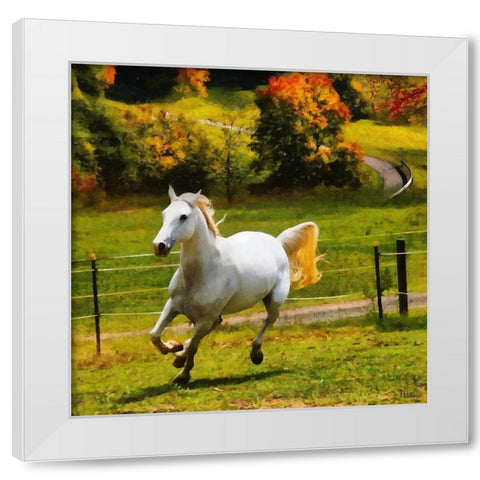 White Horse White Modern Wood Framed Art Print by Medeiros, Celito