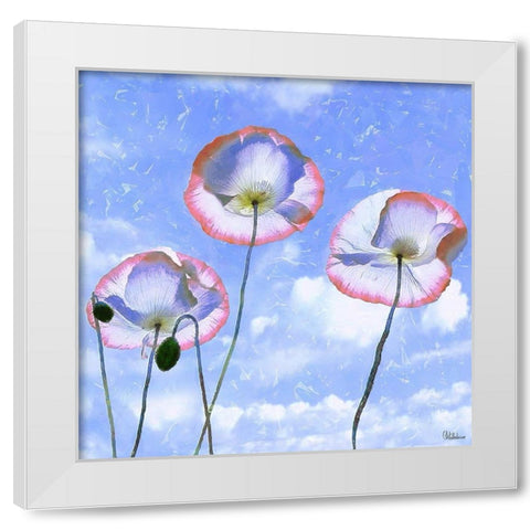 Three Poppies II White Modern Wood Framed Art Print by Medeiros, Celito