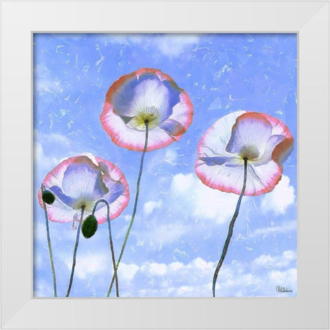Three Poppies II White Modern Wood Framed Art Print by Medeiros, Celito
