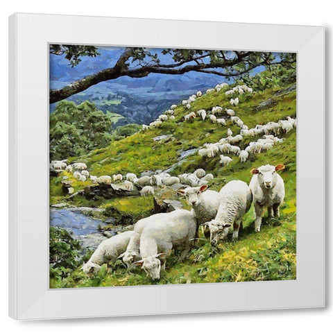 Sheeps on New Zealand White Modern Wood Framed Art Print by Medeiros, Celito