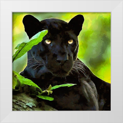 Black Panther White Modern Wood Framed Art Print by Medeiros, Celito