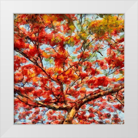 Red Flowering Tree I White Modern Wood Framed Art Print by Medeiros, Celito