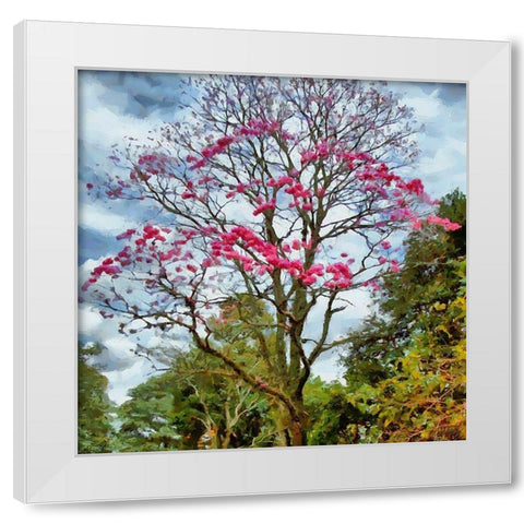 Pink Flowering Tree White Modern Wood Framed Art Print by Medeiros, Celito
