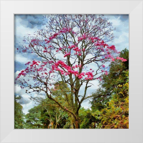 Pink Flowering Tree White Modern Wood Framed Art Print by Medeiros, Celito