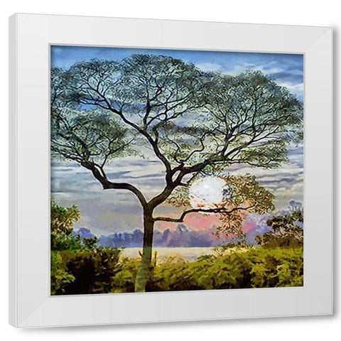 The Sunset behind the Tree White Modern Wood Framed Art Print by Medeiros, Celito