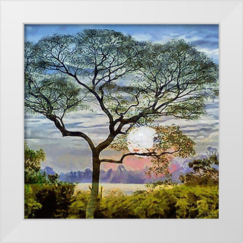 The Sunset behind the Tree White Modern Wood Framed Art Print by Medeiros, Celito