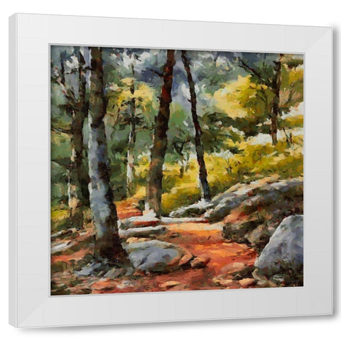 Path with Rocks White Modern Wood Framed Art Print by Medeiros, Celito