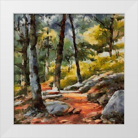 Path with Rocks White Modern Wood Framed Art Print by Medeiros, Celito