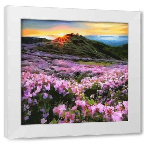 Pink Field by Sunset White Modern Wood Framed Art Print by Medeiros, Celito