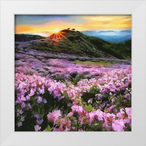 Pink Field by Sunset White Modern Wood Framed Art Print by Medeiros, Celito