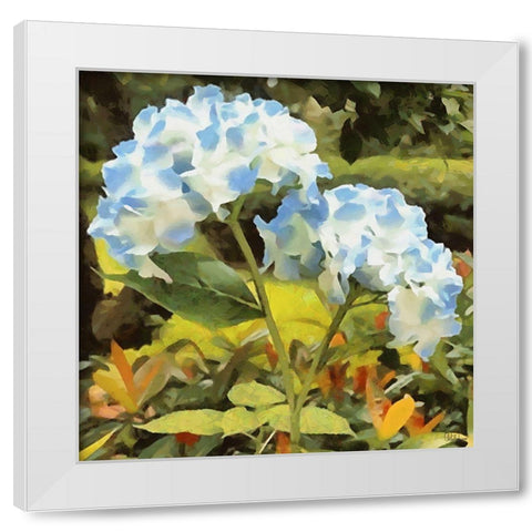 Blue Hydrangea White Modern Wood Framed Art Print by Medeiros, Celito