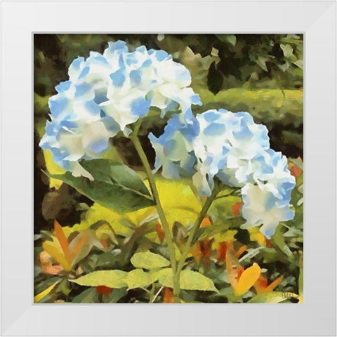Blue Hydrangea White Modern Wood Framed Art Print by Medeiros, Celito