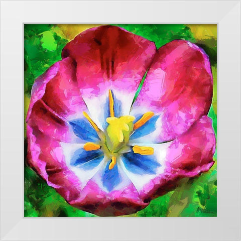 Spring Floral Variations II White Modern Wood Framed Art Print by Medeiros, Celito