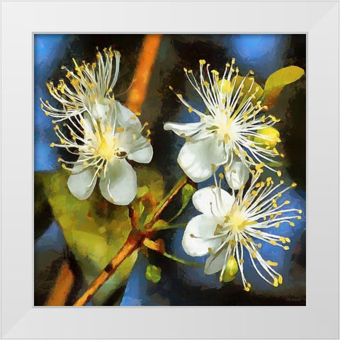 Spring Floral Variations III White Modern Wood Framed Art Print by Medeiros, Celito