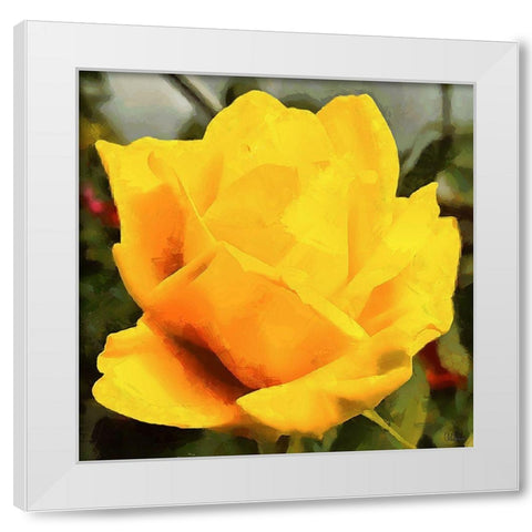 Spring Floral Variations VIII White Modern Wood Framed Art Print by Medeiros, Celito