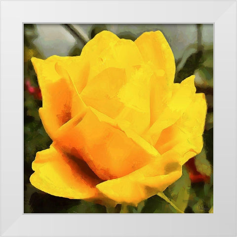 Spring Floral Variations VIII White Modern Wood Framed Art Print by Medeiros, Celito