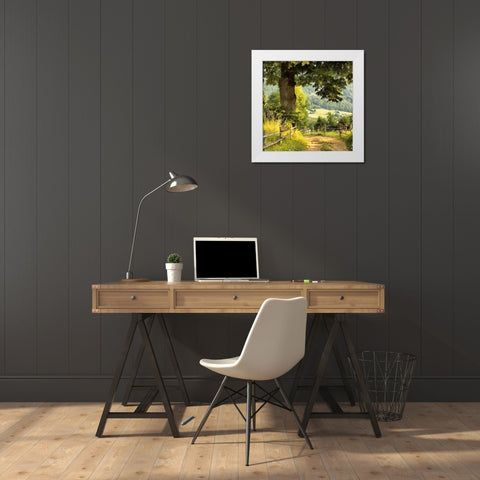 Big Oak by the Way White Modern Wood Framed Art Print by Medeiros, Celito