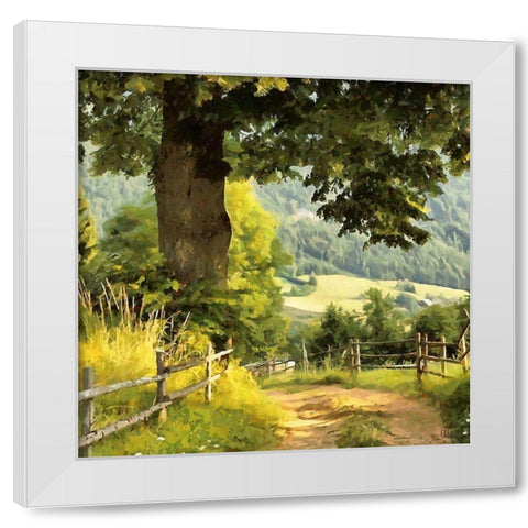 Big Oak by the Way White Modern Wood Framed Art Print by Medeiros, Celito