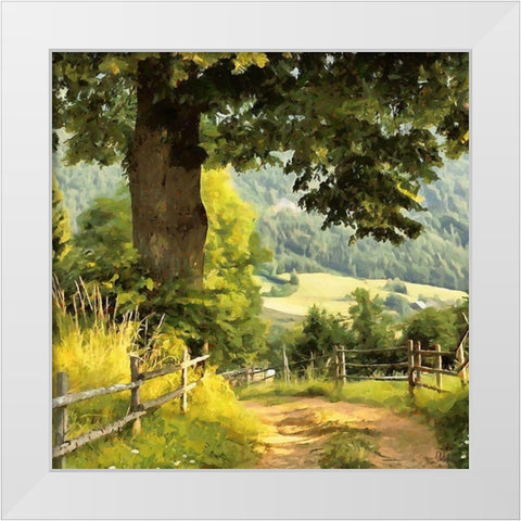 Big Oak by the Way White Modern Wood Framed Art Print by Medeiros, Celito