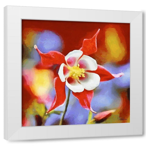 Orchids IX White Modern Wood Framed Art Print by Medeiros, Celito