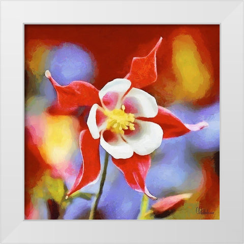 Orchids IX White Modern Wood Framed Art Print by Medeiros, Celito