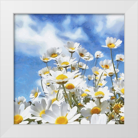 Daisies White Modern Wood Framed Art Print by Medeiros, Celito