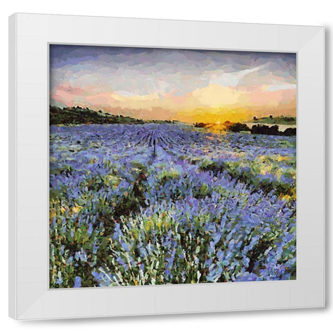 Lavender Field I White Modern Wood Framed Art Print by Medeiros, Celito