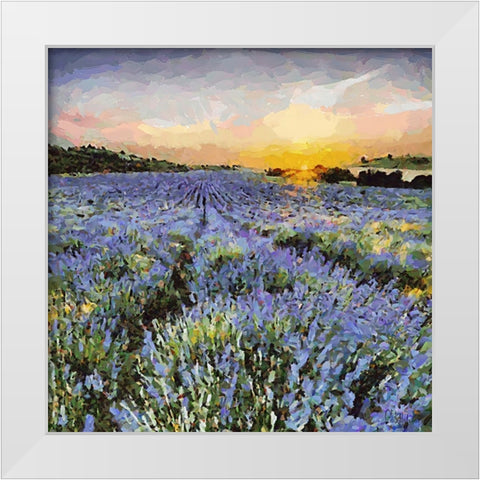 Lavender Field I White Modern Wood Framed Art Print by Medeiros, Celito
