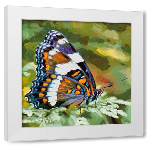Butterfly Wings II White Modern Wood Framed Art Print by Medeiros, Celito