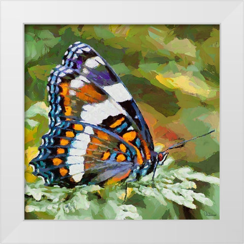 Butterfly Wings II White Modern Wood Framed Art Print by Medeiros, Celito