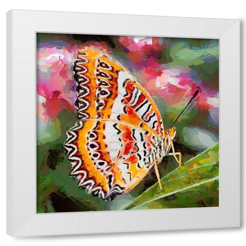 Butterfly Wings III White Modern Wood Framed Art Print by Medeiros, Celito