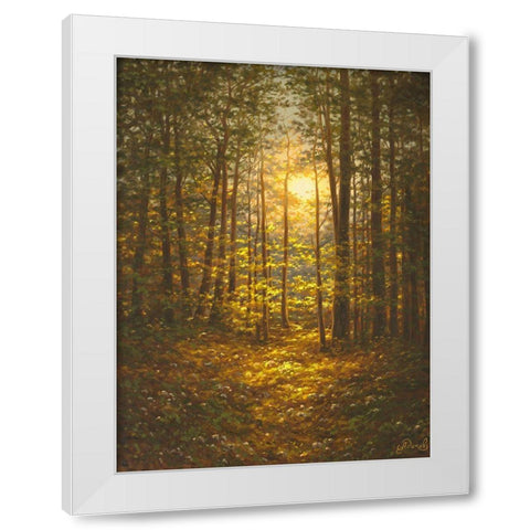 Sunbeams through the Forest White Modern Wood Framed Art Print by Adamov, Alexey