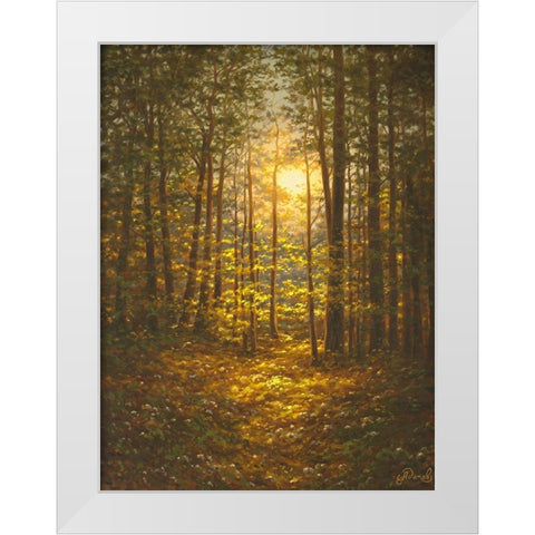 Sunbeams through the Forest White Modern Wood Framed Art Print by Adamov, Alexey