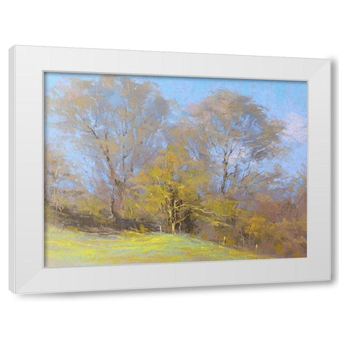 Sunny Autumn Day White Modern Wood Framed Art Print by Chaney, Alan