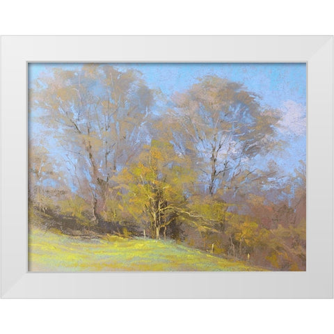 Sunny Autumn Day White Modern Wood Framed Art Print by Chaney, Alan