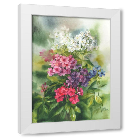 Phlox in the Garden White Modern Wood Framed Art Print by Besedina, Anastasiia