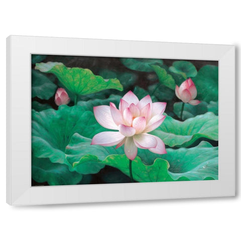 Water Lilly White Modern Wood Framed Art Print by Chen Wu