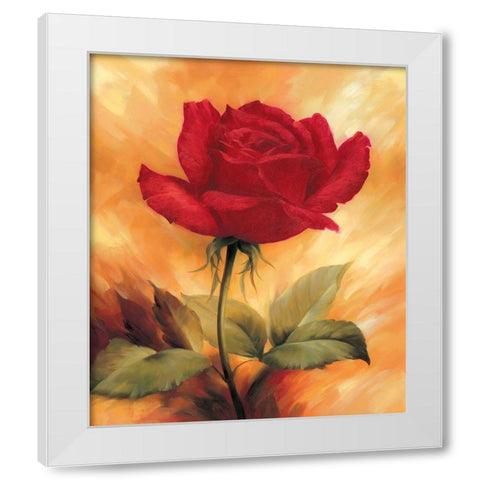 The Red Rose White Modern Wood Framed Art Print by Skorupska, Patrycja