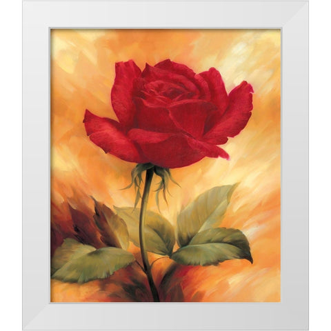 The Red Rose White Modern Wood Framed Art Print by Skorupska, Patrycja