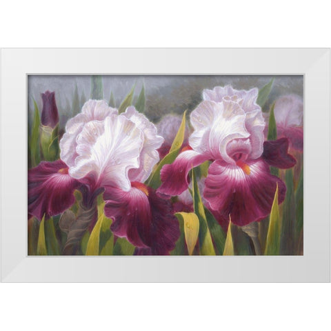 American Flowers VI White Modern Wood Framed Art Print by Murphy, John