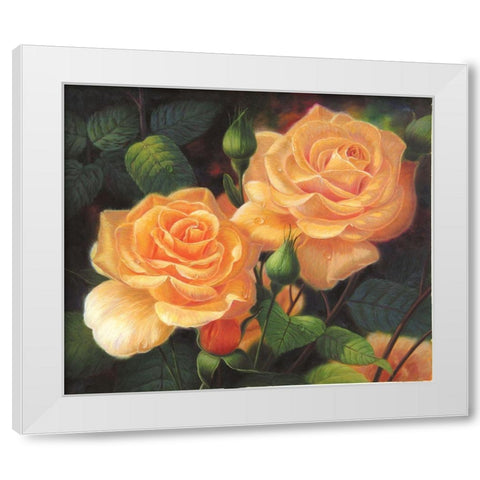 American Flowers VII White Modern Wood Framed Art Print by Murphy, John
