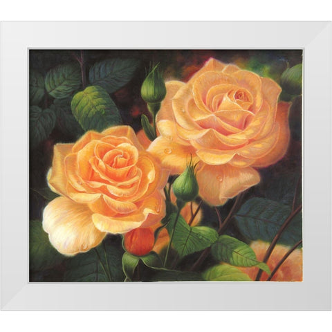 American Flowers VII White Modern Wood Framed Art Print by Murphy, John