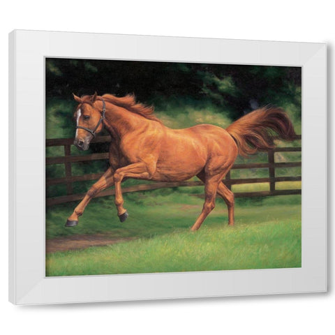 Running Brown Horse White Modern Wood Framed Art Print by Petrikova, Eva